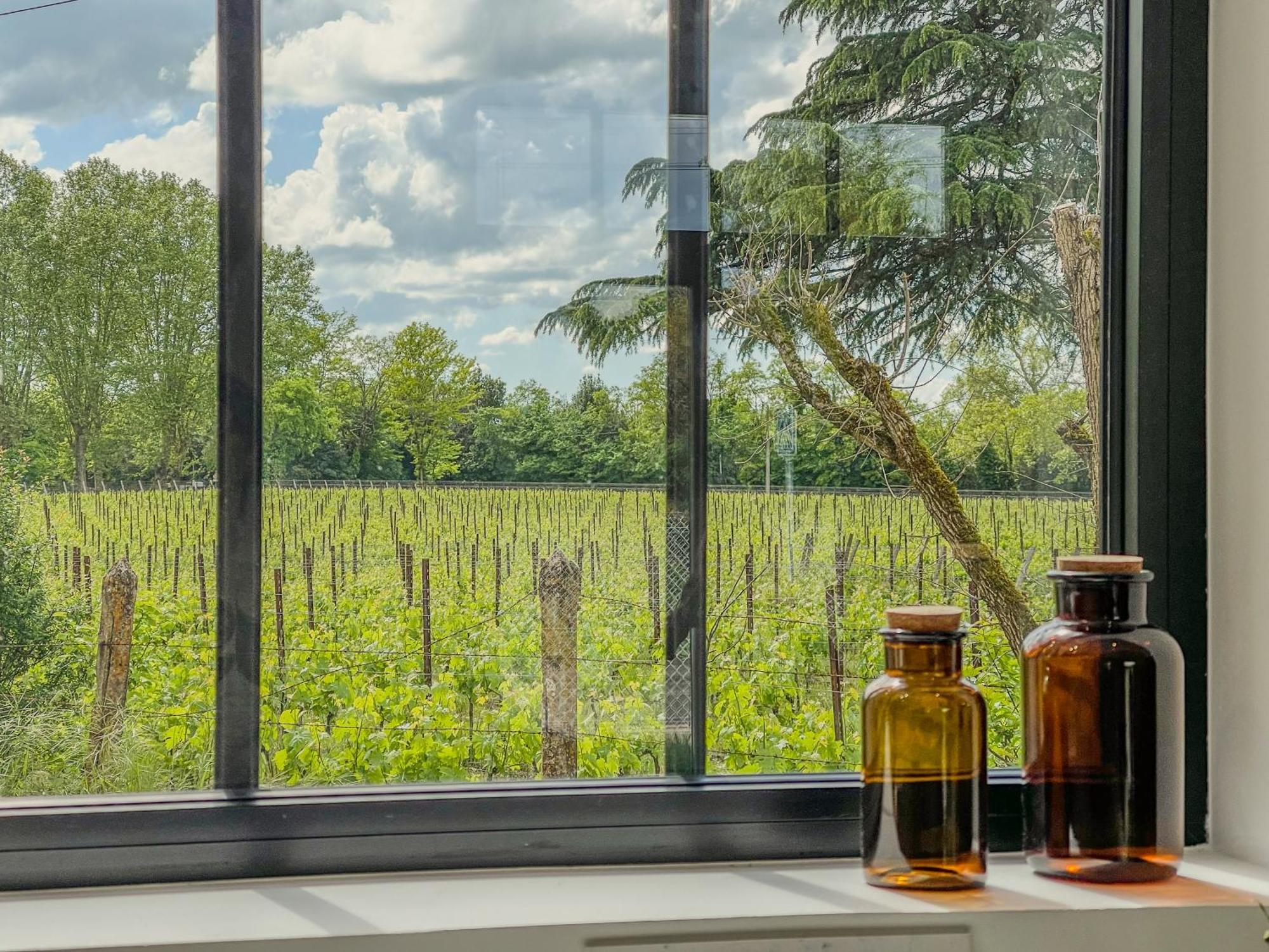 Maison Cosy Avec Vue Sur Les Vignes. Libourne Exterior foto
